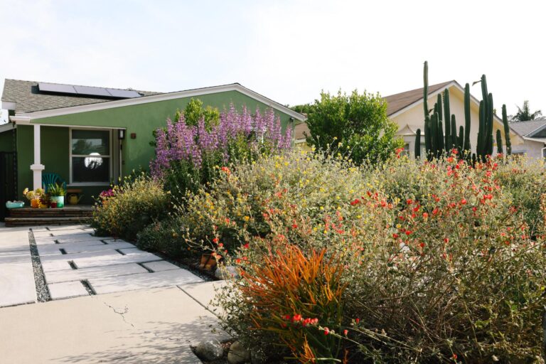 Drought-Resistant Landscaping: Sustainable and Water-Efficient Outdoor Design Ideas