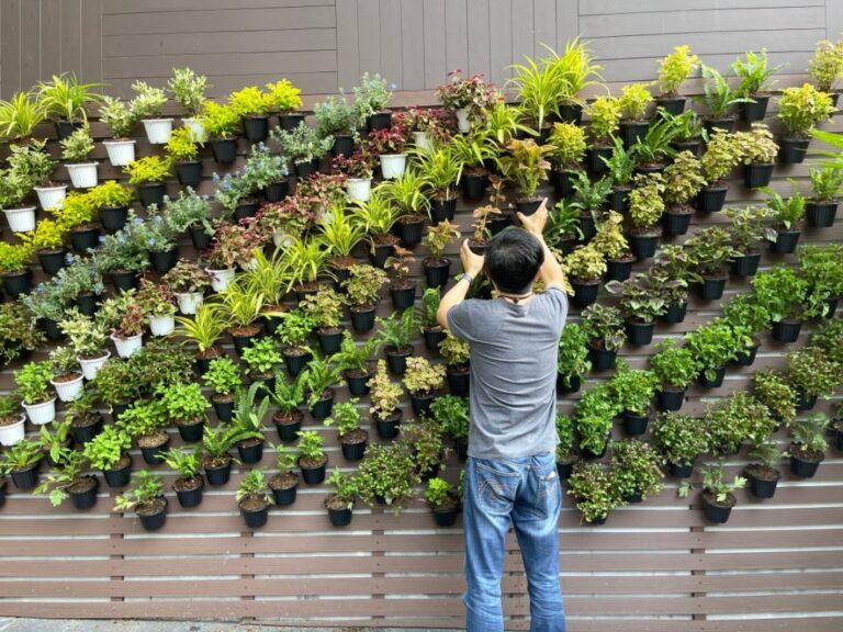 Vertical Garden Walls: Complete Guide, Benefits, and Inspiring Real-World Examples